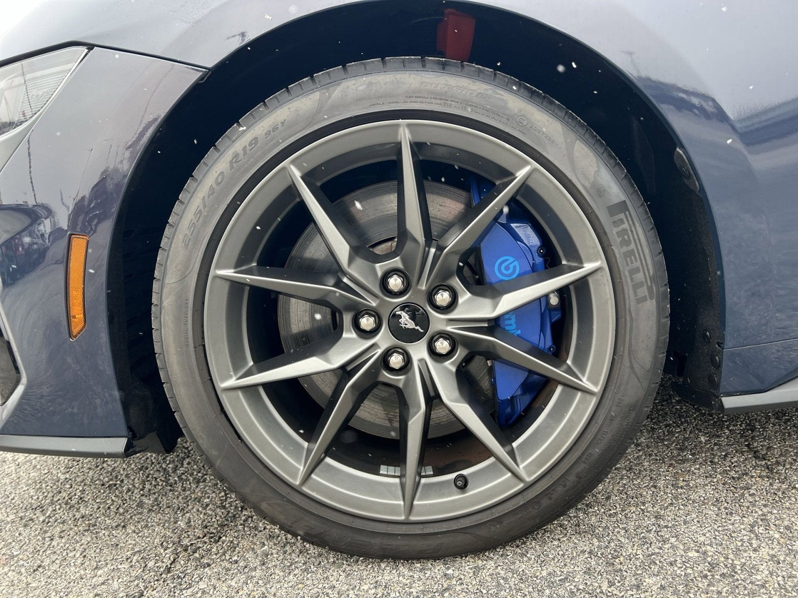 2024 Ford Mustang Dark Horse