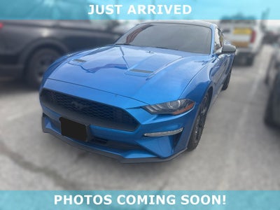 2019 Ford Mustang EcoBoost