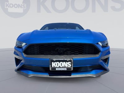 2019 Ford Mustang EcoBoost