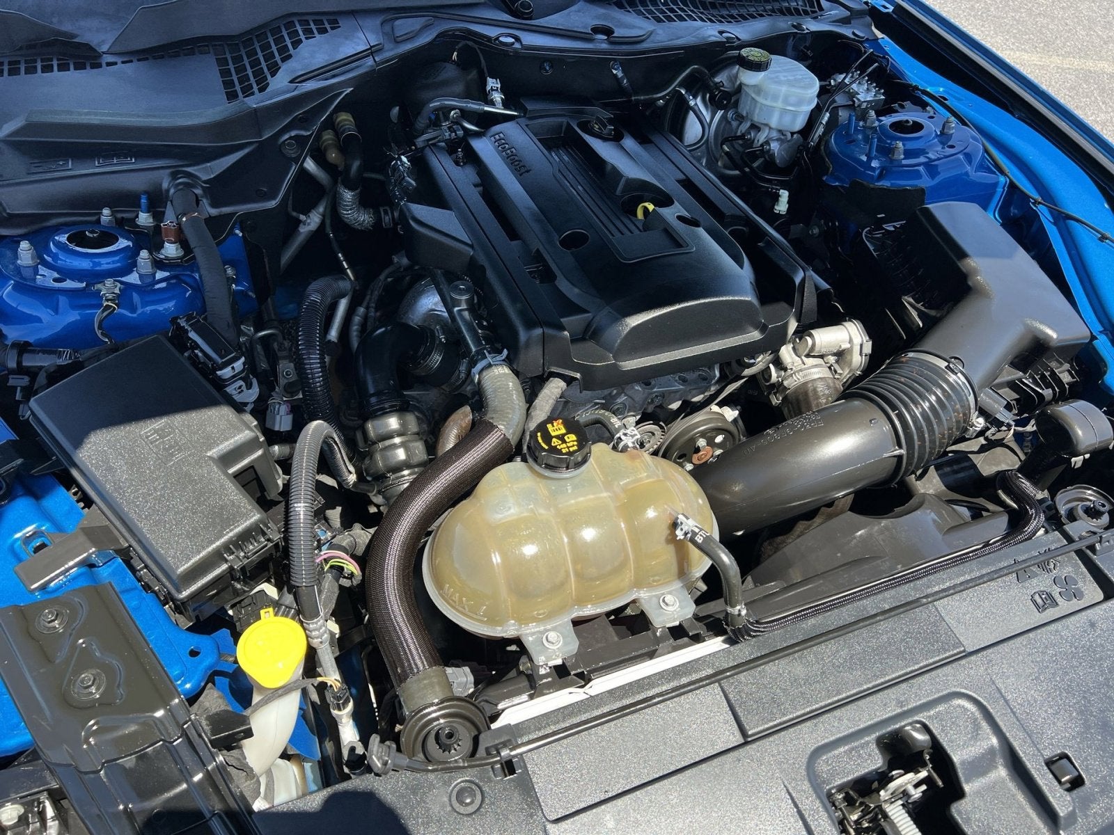 2019 Ford Mustang EcoBoost