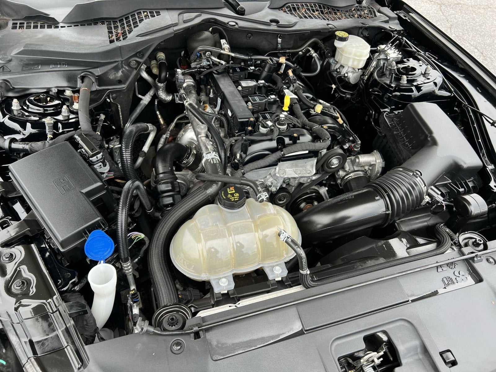 2023 Ford Mustang EcoBoost Premium