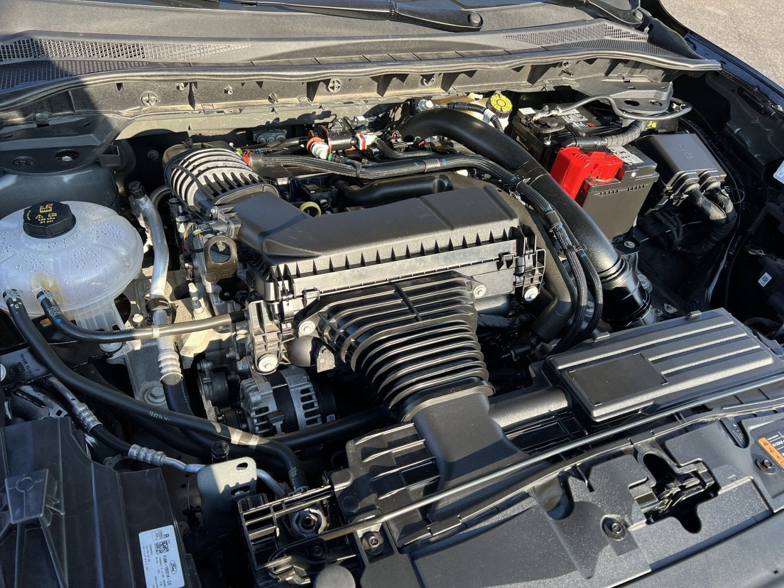 2024 Ford Escape ST-Line Elite