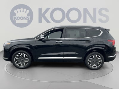 2021 Hyundai Santa Fe Calligraphy