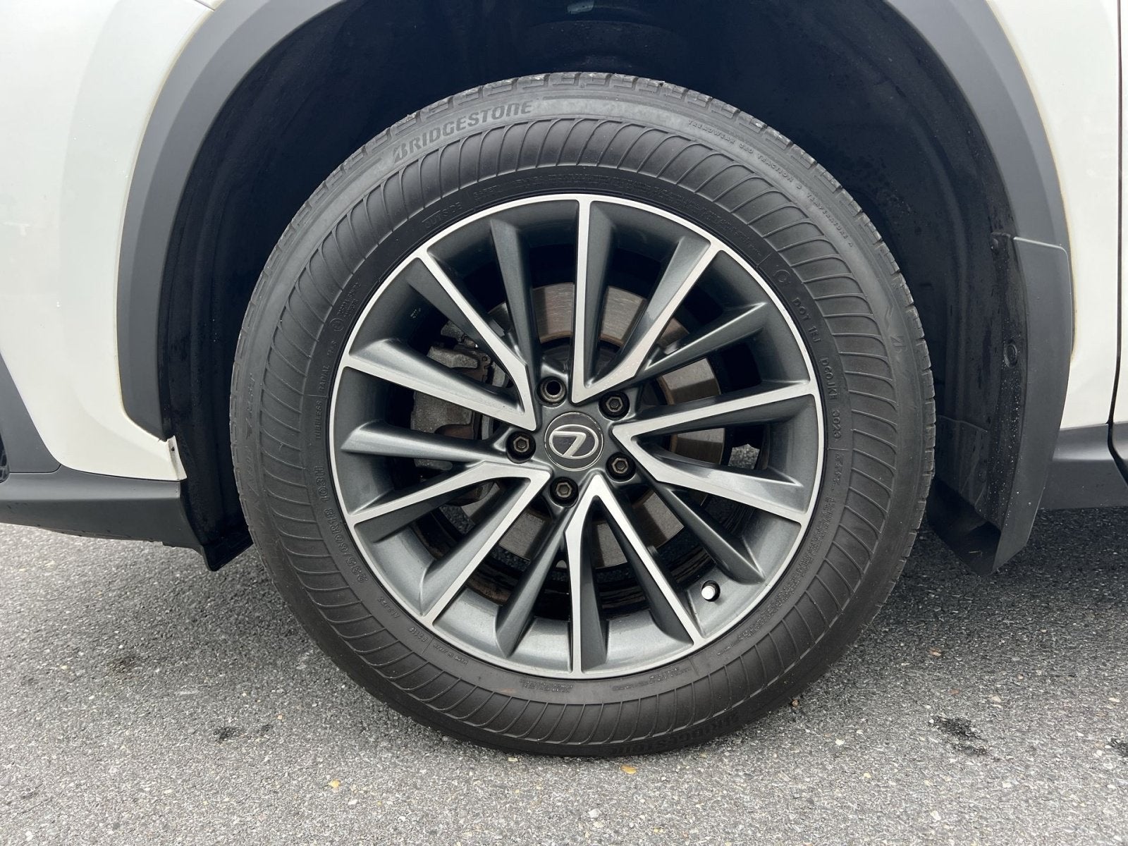 2024 Lexus NX 250 Base