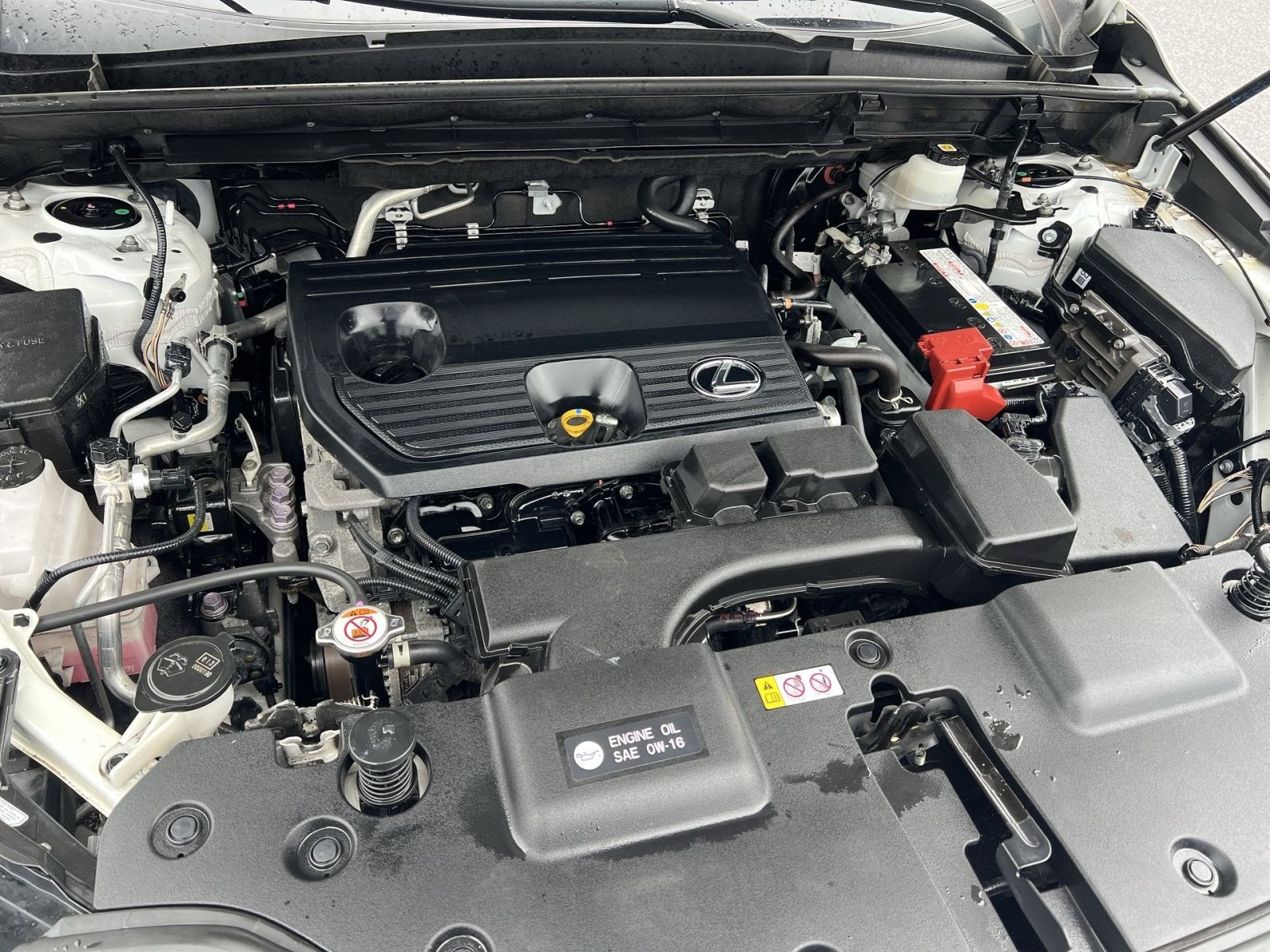 2024 Lexus NX 250 Base