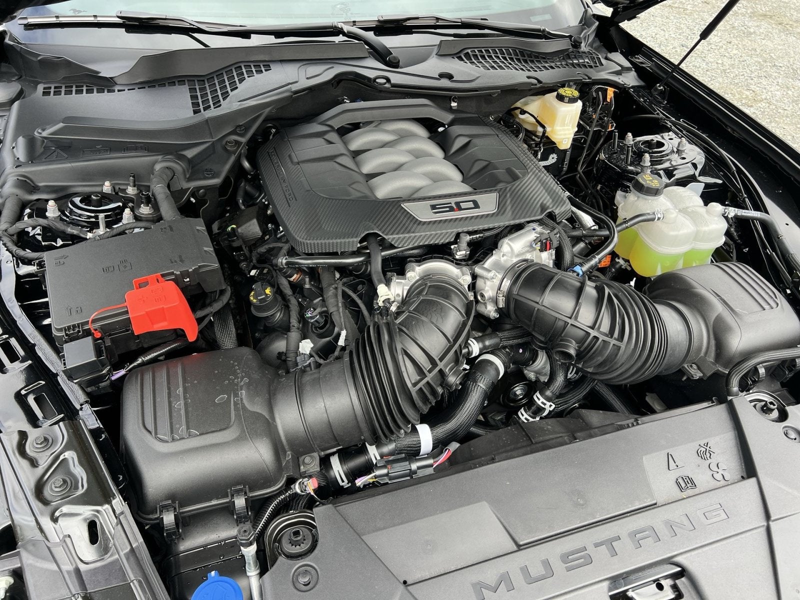 2026 Ford Mustang GT