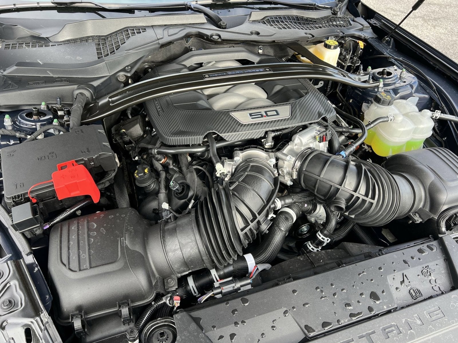 2026 Ford Mustang Dark Horse