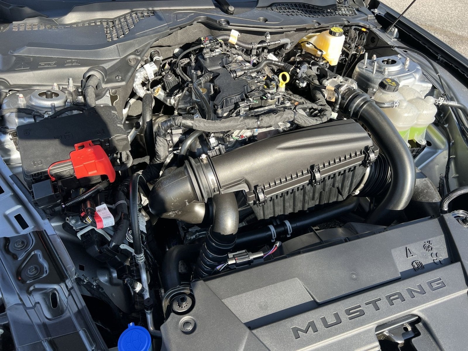 2026 Ford Mustang Base