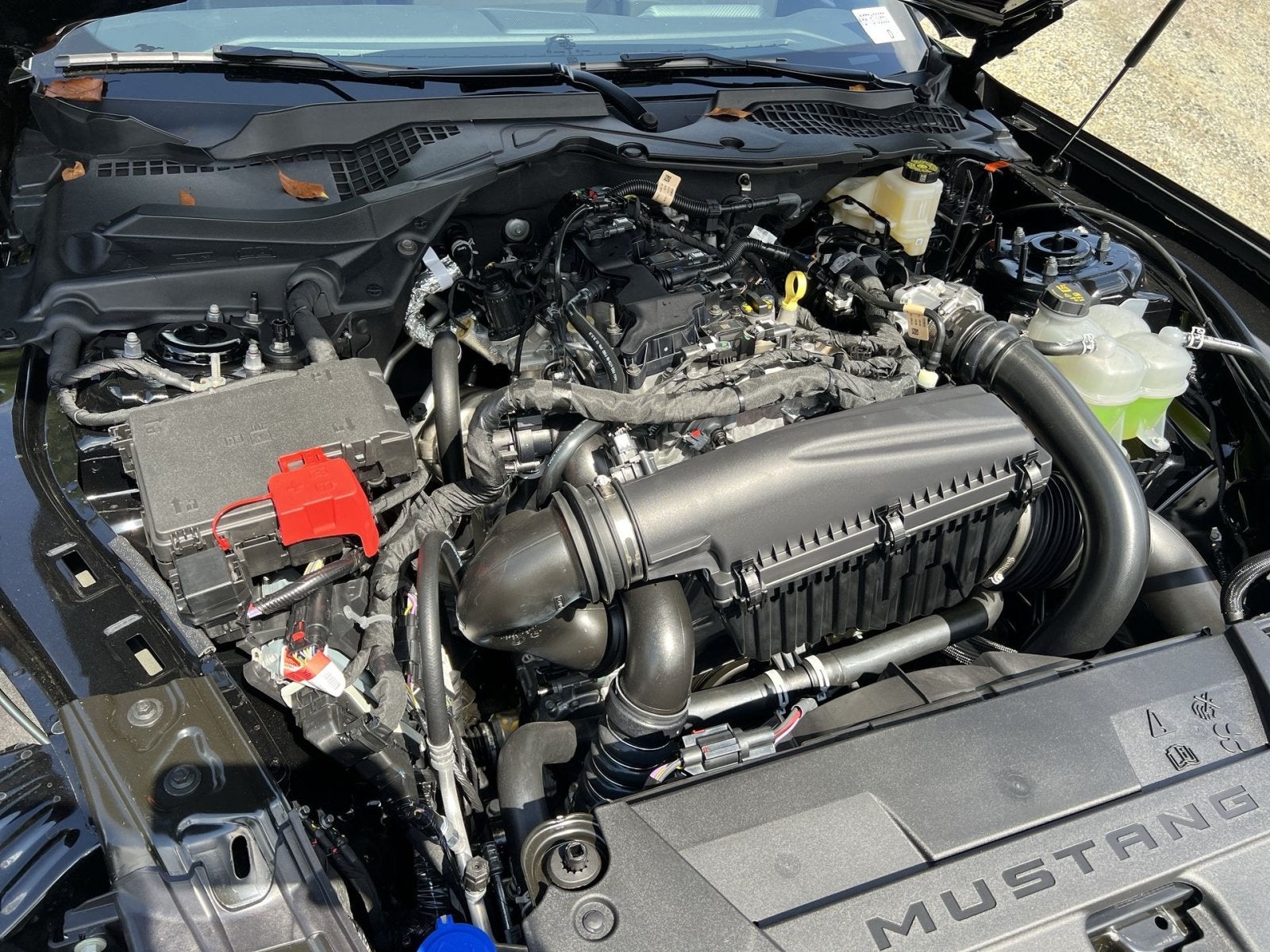 2026 Ford Mustang EcoBoost