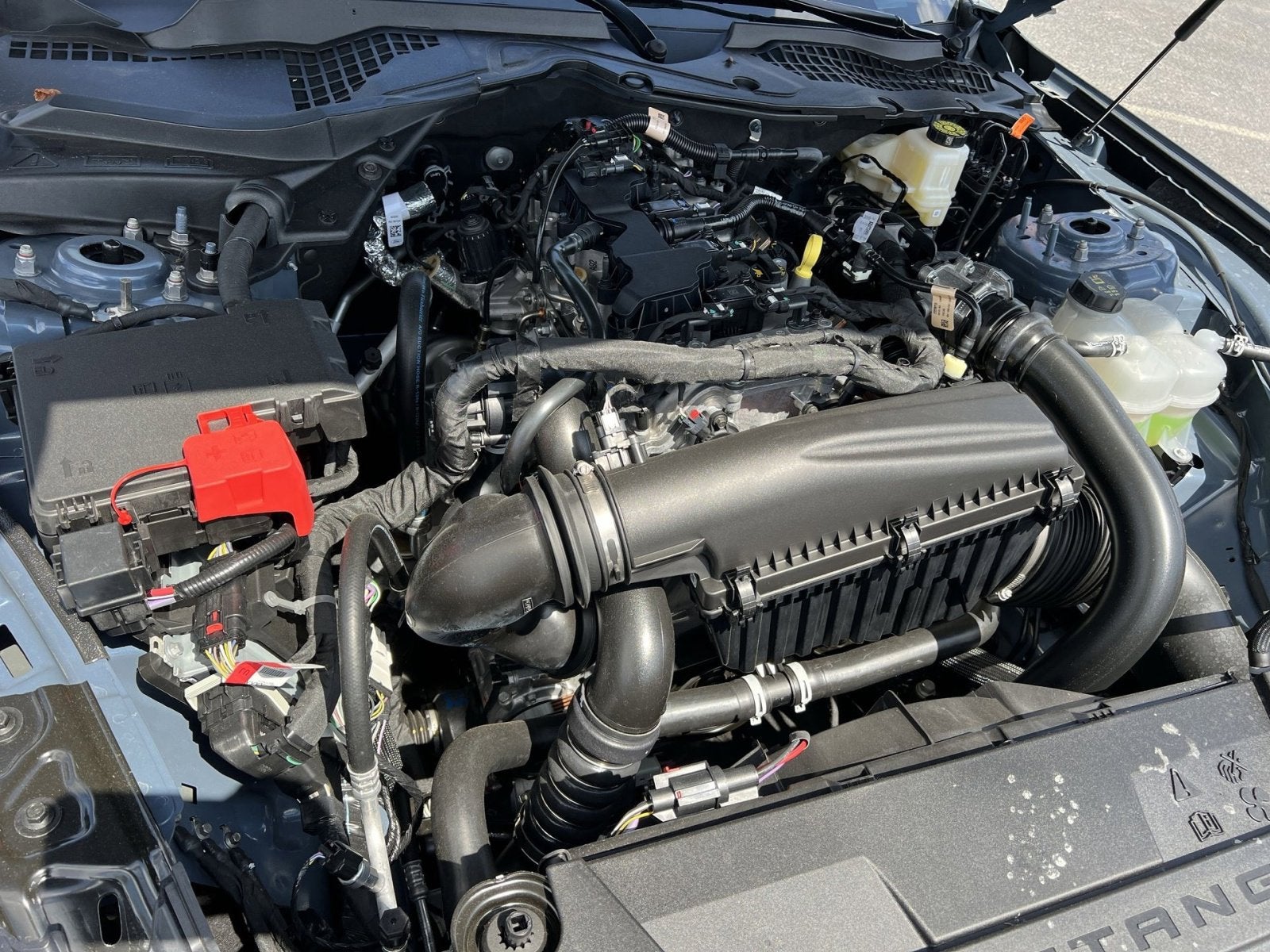 2025 Ford Mustang EcoBoost