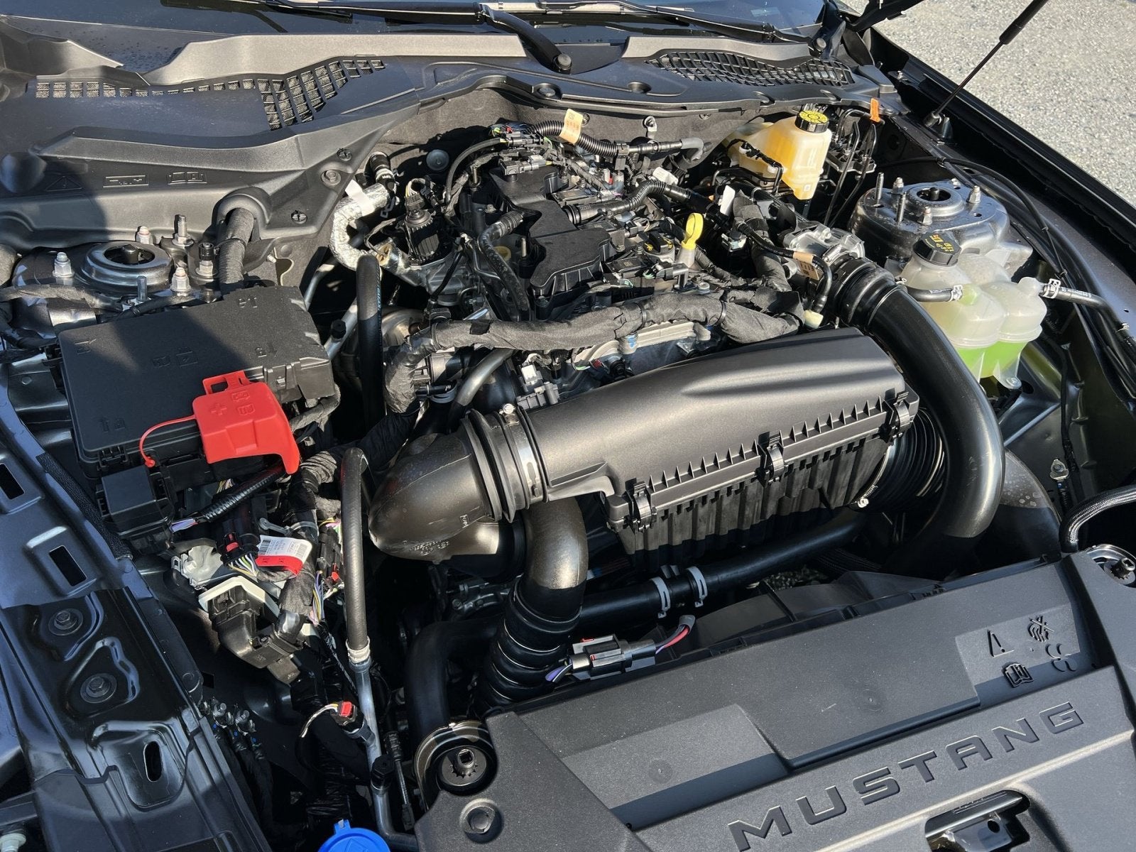 2026 Ford Mustang EcoBoost