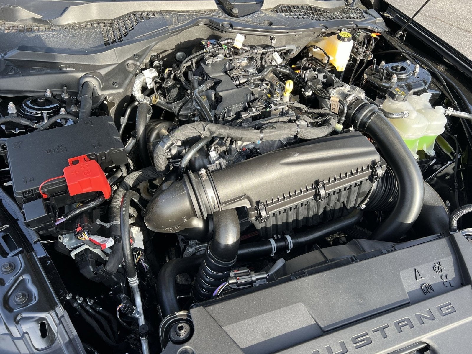 2026 Ford Mustang EcoBoost