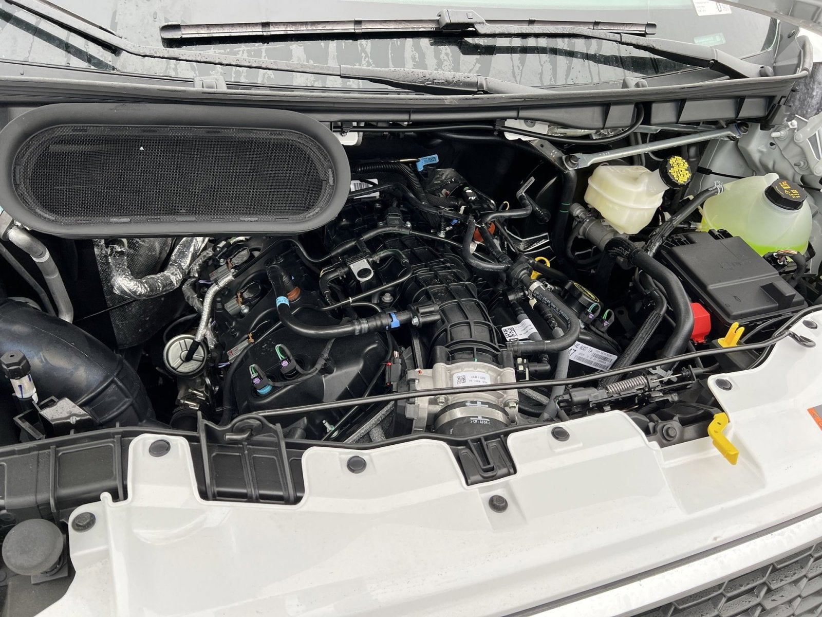 2026 Ford Transit-350 XLT