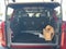 2026 Ford Bronco 60th Anniversary